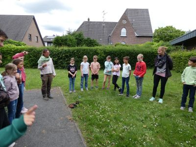 2.Pflanzung1