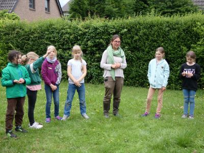 2.Pflanzung19