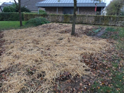 2021_Acker-im-Winter1