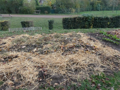 2021_Acker-im-Winter2