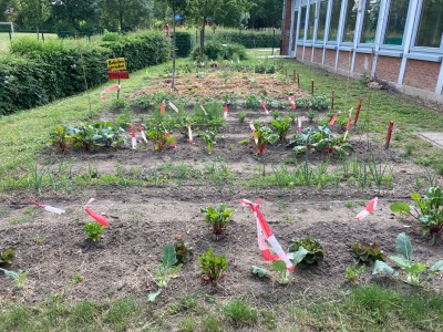 Ackerimpressionen2021_-14