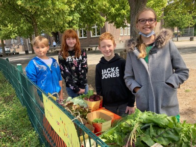 Ackerimpressionen2021_-17