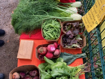 Ackerimpressionen2021_-18