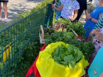 Ackerimpressionen2021_-19