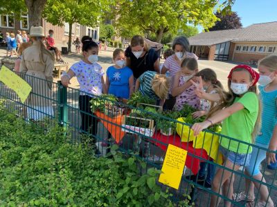 Ackerimpressionen2021_-20