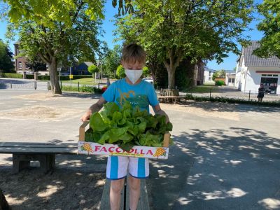 Ackerimpressionen2021_-21