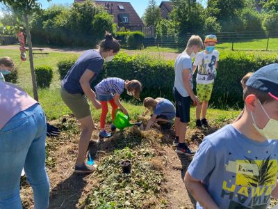 Ackerimpressionen2021_-23