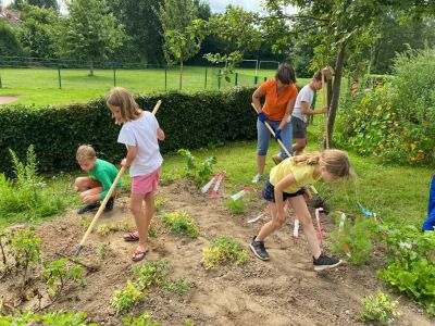 Ackerimpressionen2021_-26