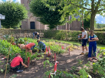 Ackerimpressionen2021_-27