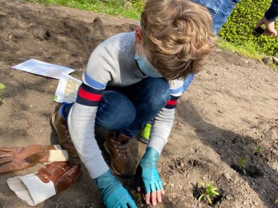 Ackerimpressionen2021_-3