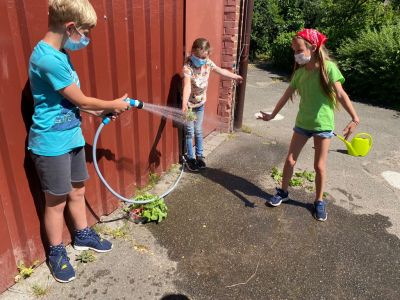 Ackerimpressionen2021_-30