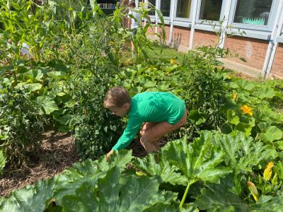 Ackerimpressionen2021_-31