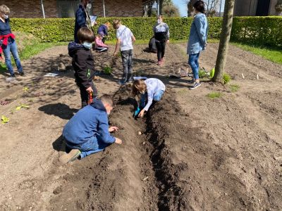 Ackerimpressionen2021_-5