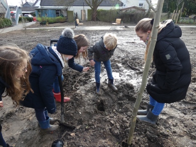 2022Baumpflanzaktion10