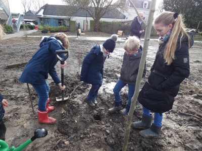 2022Baumpflanzaktion11