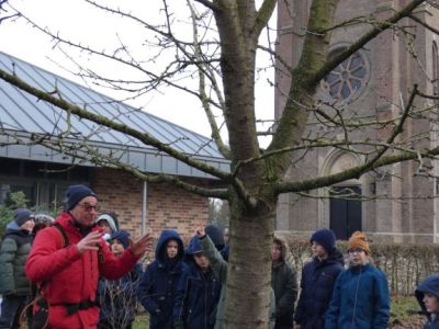 2024Baumbeschneidung1