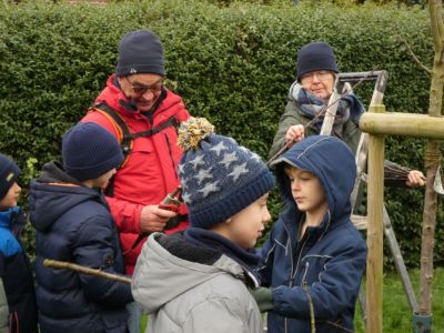 2024Baumbeschneidung3