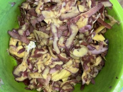 Kartoffelkochen20254