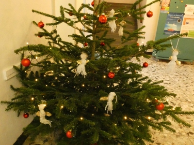 2020Weinachtsbaum_1