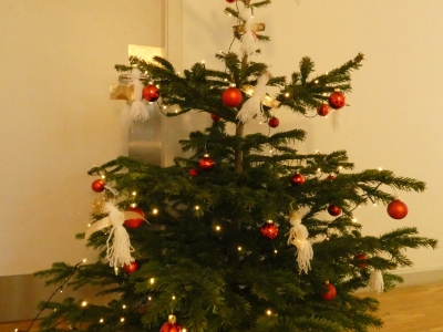 2020Weinachtsbaum_5
