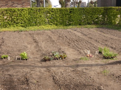 2021Acker55