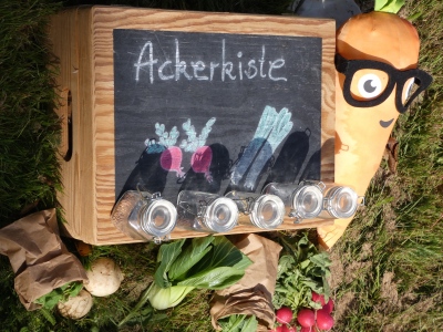 AckernWDR_24