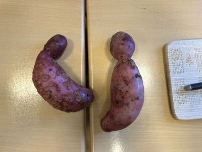 Kartoffelkochen20251